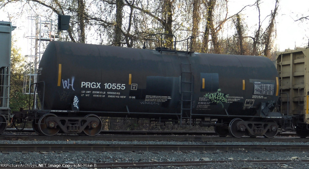 PRGX 10555